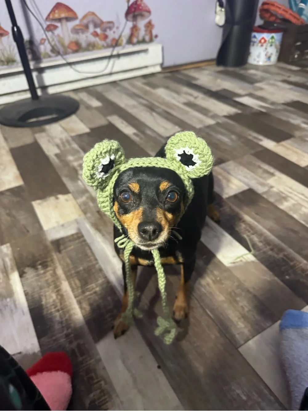 Handmade Light Green Crochet Dog Hat - Cute Ear Accessory